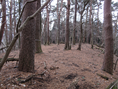 20160204hike (325)